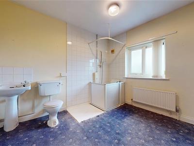 Picture 20